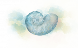 business logo squared version